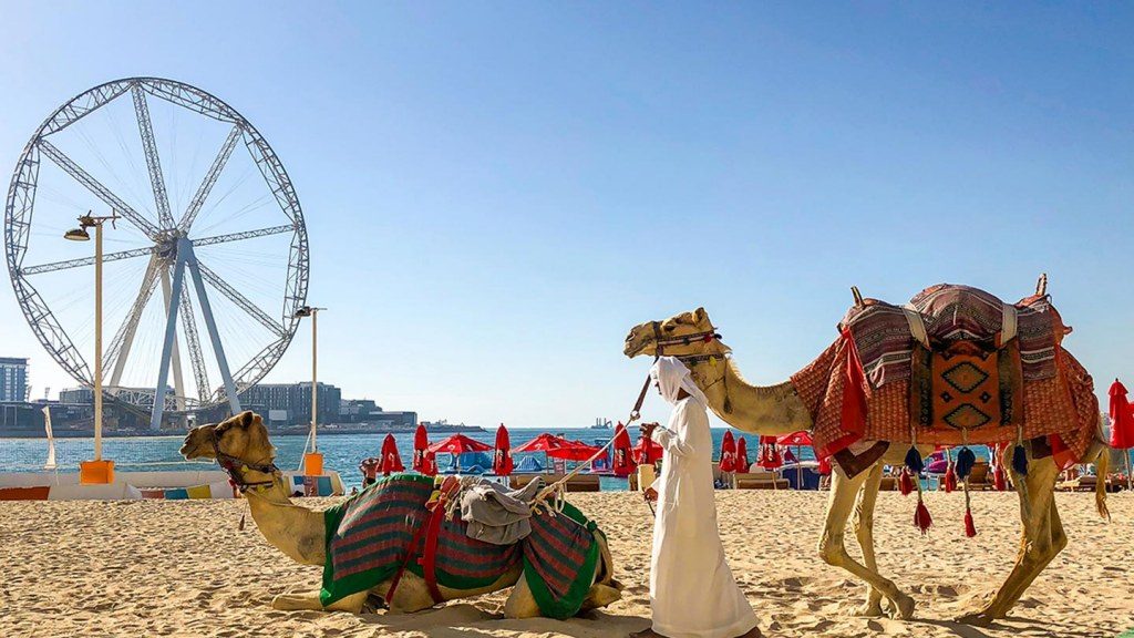 Top 10 Exciting Things to do in Jumeirah Beach Residence (JBR) Dubai | Dive into the Fun